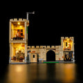 LED Light Kit for LEGO® Harry Potter™ Hogwarts™ Castle: Flying Lessons 76447