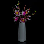 Led Light Kit for LEGO® Magnolia Branches 11510