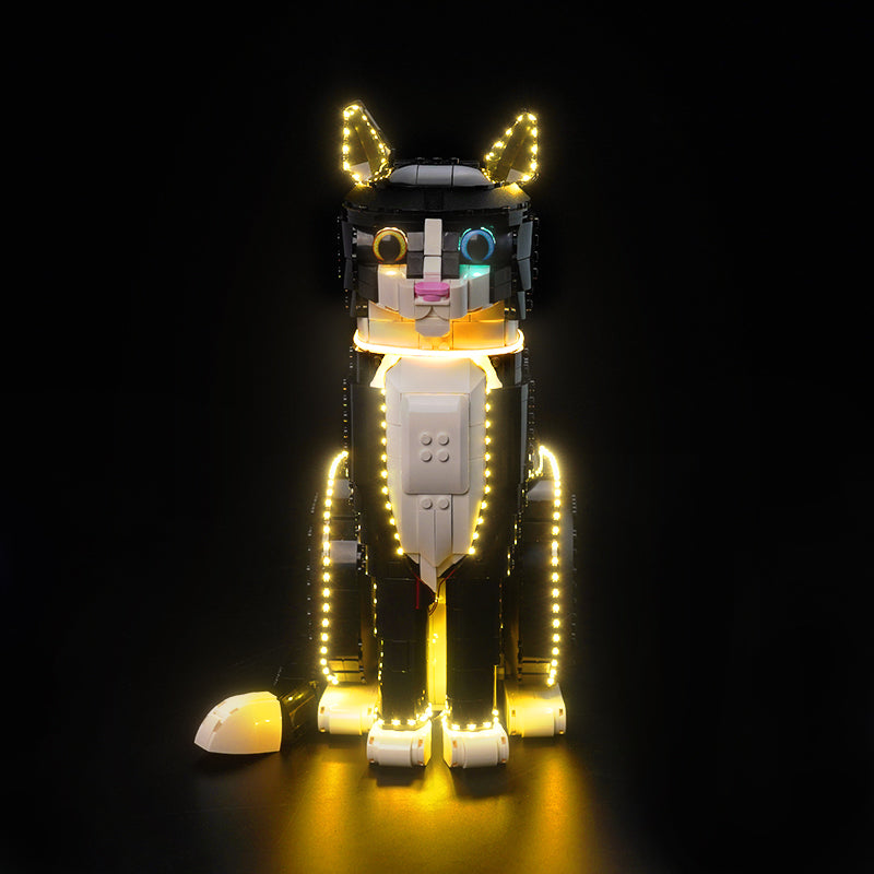 LED Light Kit Compatible with LEGO® Ideas Tuxedo Cat 21349