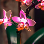 LED Light Kit for LEGO® Botanicals 10343 Mini Orchid
