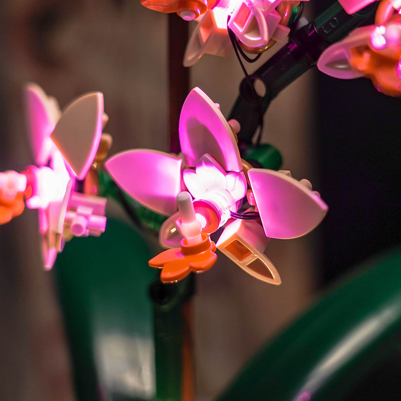 LED Light Kit for LEGO® Botanicals 10343 Mini Orchid
