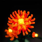 LED Light Kit for LEGO® Botanicals 10368 Chrysanthemum